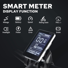 RUITENG RT-01 OEM E-bike 350W Mountain Electric Bike