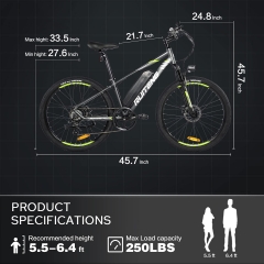 RUITENG RT-01 OEM E-bike 350W Mountain Electric Bike