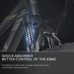 RUITENG RT-01 OEM E-bike 350W Mountain Electric Bike