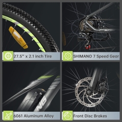 RUITENG RT-01 OEM E-bike 350W Mountain Electric Bike