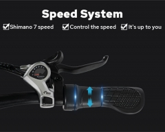 RUITENG RT-02 OEM 500W Mountain Electric Bike ODM High Quality Ebike