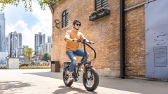 RUITENG RT-04 OEM ODM Electric Bike Factory Step-over 750W Ebike