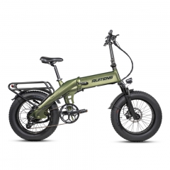RUITENG RT-07 750W Ebike OEM COMMUTER Electric Bicycle I-PAS Technology Regeneration Energy