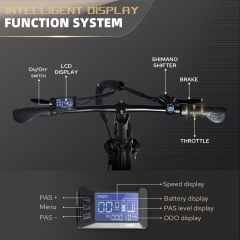 RUITENG RT-09 500W Folding Ebike OEM ODM High Quality