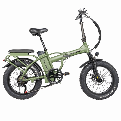 RUITENG RT-04 OEM ODM Electric Bike Factory Step-over 750W Ebike