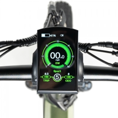 RUITENG RT-07 750W Ebike OEM COMMUTER Electric Bicycle I-PAS Technology Regeneration Energy