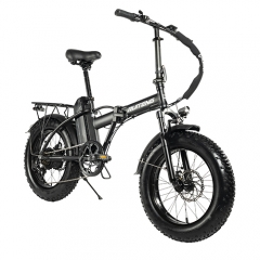 RUITENG RT-09 500W Folding Ebike OEM ODM High Quality