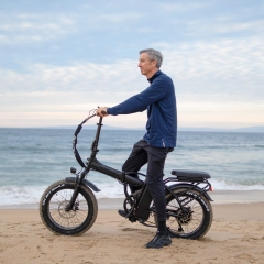 RUITENG RT-04 OEM ODM Electric Bike Factory Step-over 750W Ebike