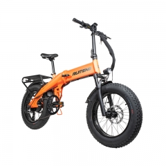 RUITENG RT-07 750W Ebike OEM COMMUTER Electric Bicycle I-PAS Technology Regeneration Energy