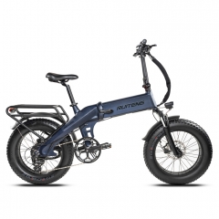 RUITENG RT-07 750W Ebike OEM COMMUTER Electric Bicycle I-PAS Technology Regeneration Energy