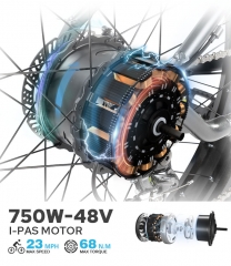 RUITENG RT-02 OEM 500W Mountain Electric Bike ODM High Quality Ebike