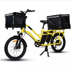 RUITENG RCA-01 Cargo Electric Bike With Dual Battery Long Range Power