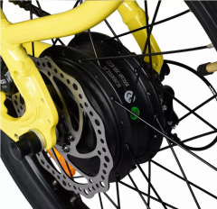 RUITENG RCA-01 Cargo Electric Bike With Dual Battery Long Range Power