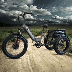 RUITENG RCA-02 OEM Electric Cargo Bikes Manufacturer in China Three Wheels E Bike