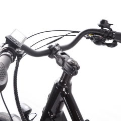 RUITENG RCA-03 OEM ODM Electric Cargo Bikes With Dual Bike Seat Customized LOGO Ebikes