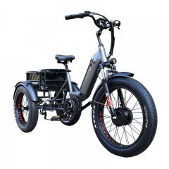 RUITENG RCA-02 OEM Electric Cargo Bikes Manufacturer in China Three Wheels E Bike