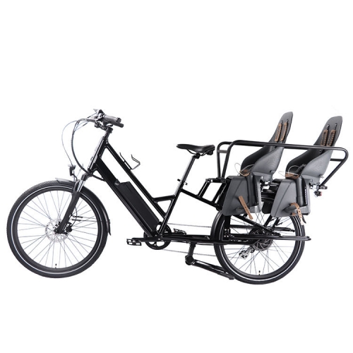 RUITENG RCA-03 OEM ODM Electric Cargo Bikes With Dual Bike Seat Customized LOGO Ebikes