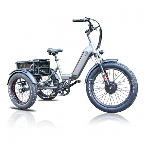 RUITENG RCA-02 OEM Electric Cargo Bikes Manufacturer in China Three Wheels E Bike