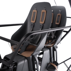 RUITENG RCA-03 OEM ODM Electric Cargo Bikes With Dual Bike Seat Customized LOGO Ebikes