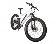 RUITENG RM-05 OEM ODM Mountain Electric Bicycle Factory
