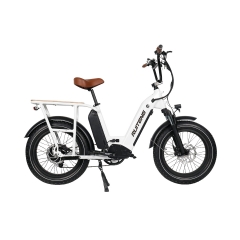 RUITENG OEM RCA-04 Dual Lithium Battery Long Range Miles For Traveling Commuter Electric Bike