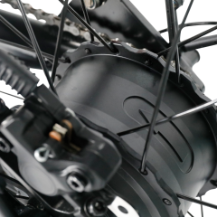 RUITENG RF-01 OEM Fat Tire Electric Bike With Powerable Motor