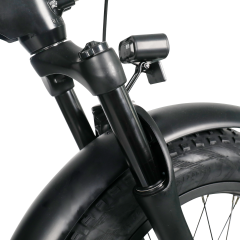 RUITENG RF-01 OEM Fat Tire Electric Bike With Powerable Motor