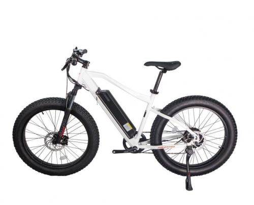 RUITENG RM-05 OEM ODM Mountain Electric Bicycle Factory