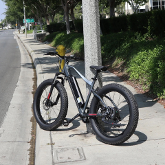 RUITENG RM-05 OEM ODM Mountain Electric Bicycle Factory