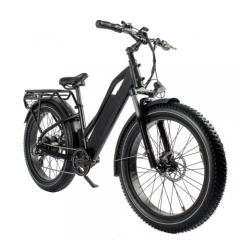 RUITENG RM-01 OEM ODM Electric Bike Manufacturing in China