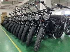 RUITENG RM-03 OEM ODM Mountain Electric Bicycle Factory in Guangzhou China