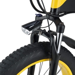 RUITENG RM-04 OEM ODM Mountain Electric Bike With Fat Tire