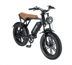 RUITENG RM-03 OEM ODM Mountain Electric Bicycle Factory in Guangzhou China