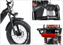 RUITENG RF-01 OEM Fat Tire Electric Bike With Powerable Motor