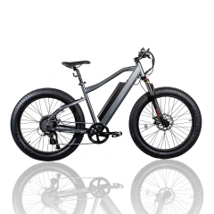 RUITENG RM-05 OEM ODM Mountain Electric Bicycle Factory