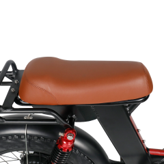 RUITENG RF-01 OEM Fat Tire Electric Bike With Powerable Motor