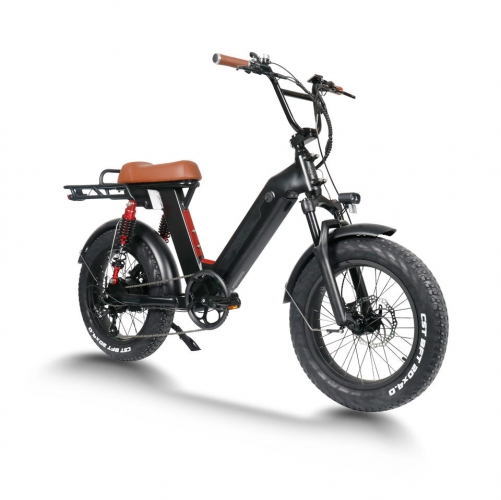 RUITENG RF-01 OEM Fat Tire Electric Bike With Powerable Motor