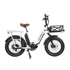 RUITENG OEM RCA-04 Dual Lithium Battery Long Range Miles For Traveling Commuter Electric Bike