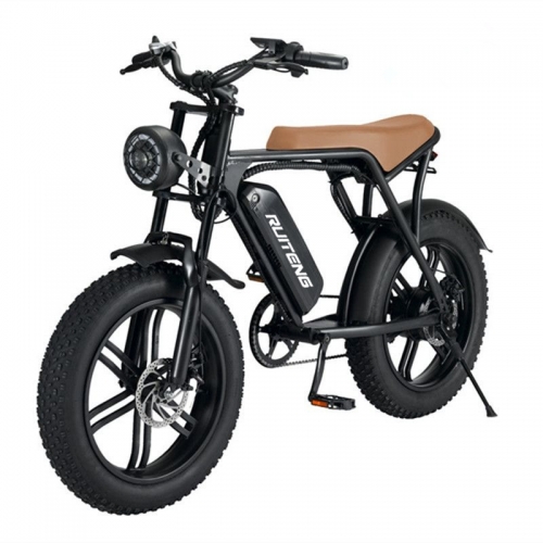 RUITENG RM-03 OEM ODM Mountain Electric Bicycle Factory in Guangzhou China