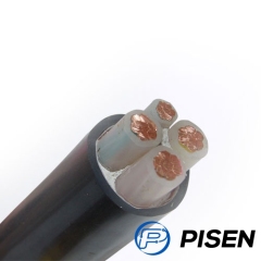 LV XLPE Power Cable,Low Voltage XLPE Insulated PVC Sheathed Power Cable