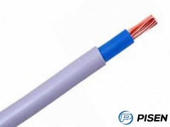 Single Core copper conductor,PVC Insulated PVC Sheathed Electric Wire (300/500V)
