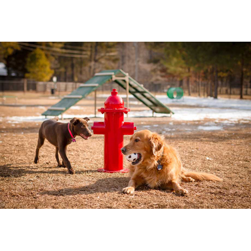 Dog Park Amenities Dog Park Fire Hydrant