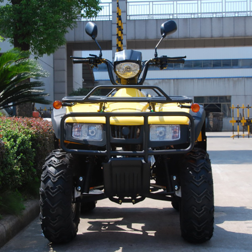 User-friendly design automatic reliable quality ATV 4 wheel for adult
