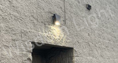LED Adjustable Wall Pack Light