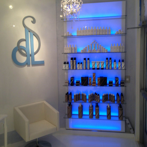 2013 SDL salon in USA