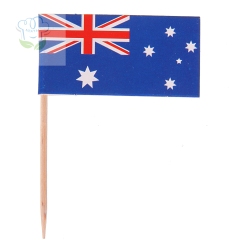Mini National Flag