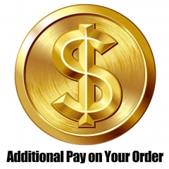 Pay upon Invoice 20230306SIB8