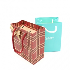 Special Gift Paper Bag