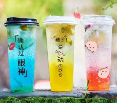17 oz Leakproof Reusable Boba Cup Plastic Bubble Tea Cups