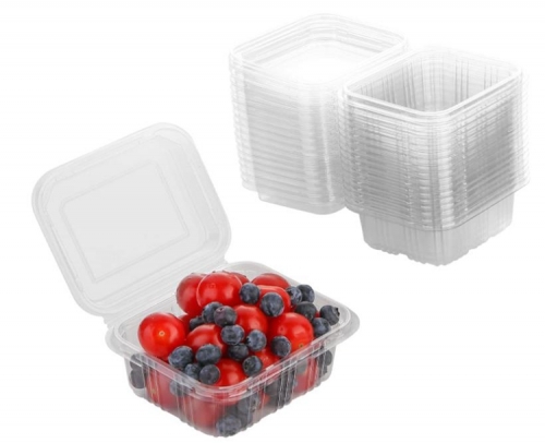 and Thicken Clear Hinged Containers Disposable Plastic Hinged Food Container